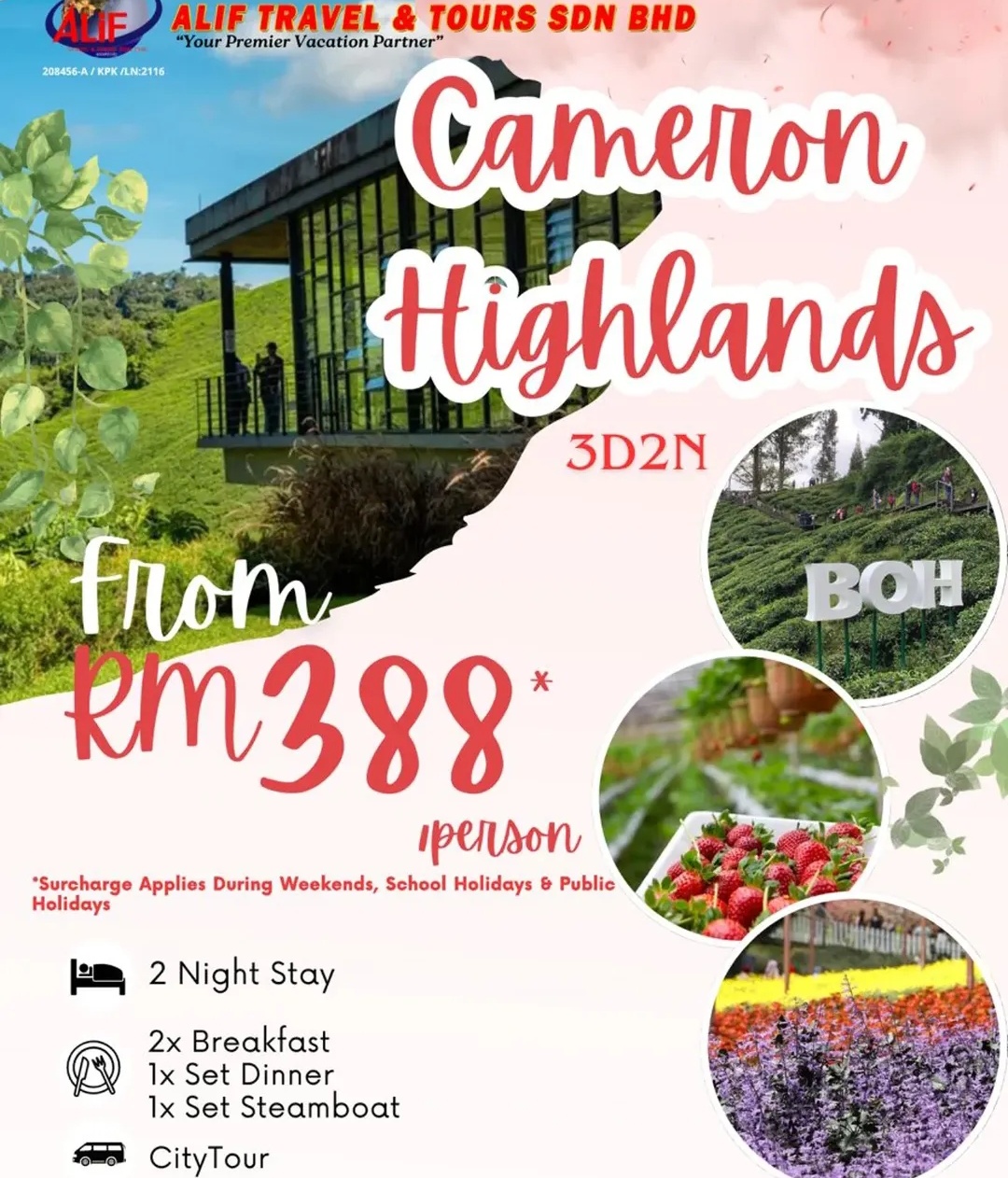 Cameron highlands